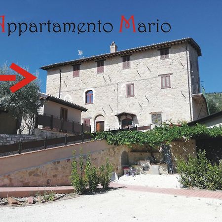 Appartamenti Cardinali アッシジ エクステリア 写真